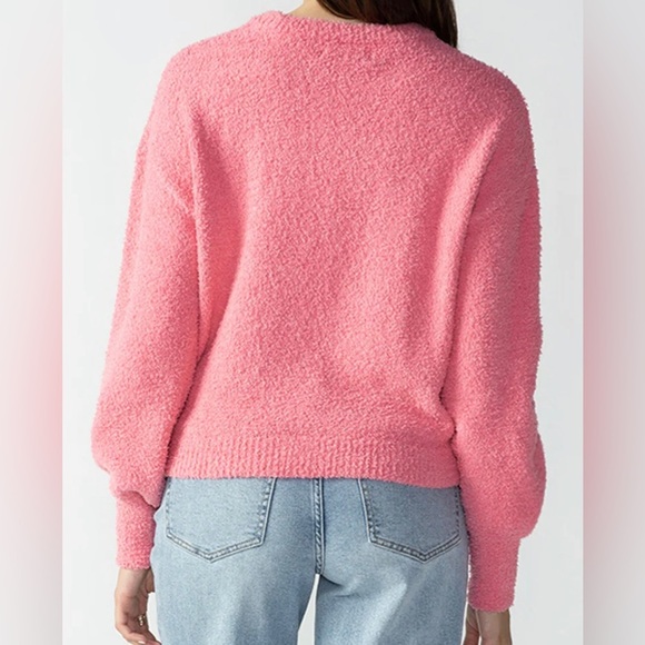 Sanctuary Plush Crew Neck Sweater • Strawberry Creme • Worn Twice • Small - Picture 3 of 3